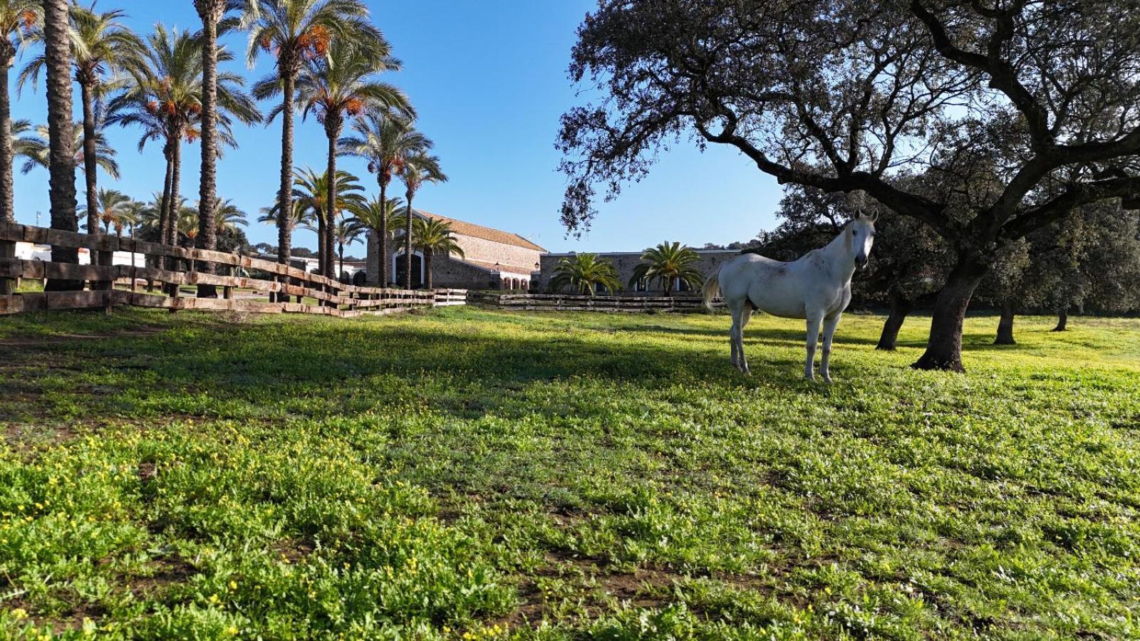 Alojamiento Rural Finca Barral El Garrobo Екстериор снимка