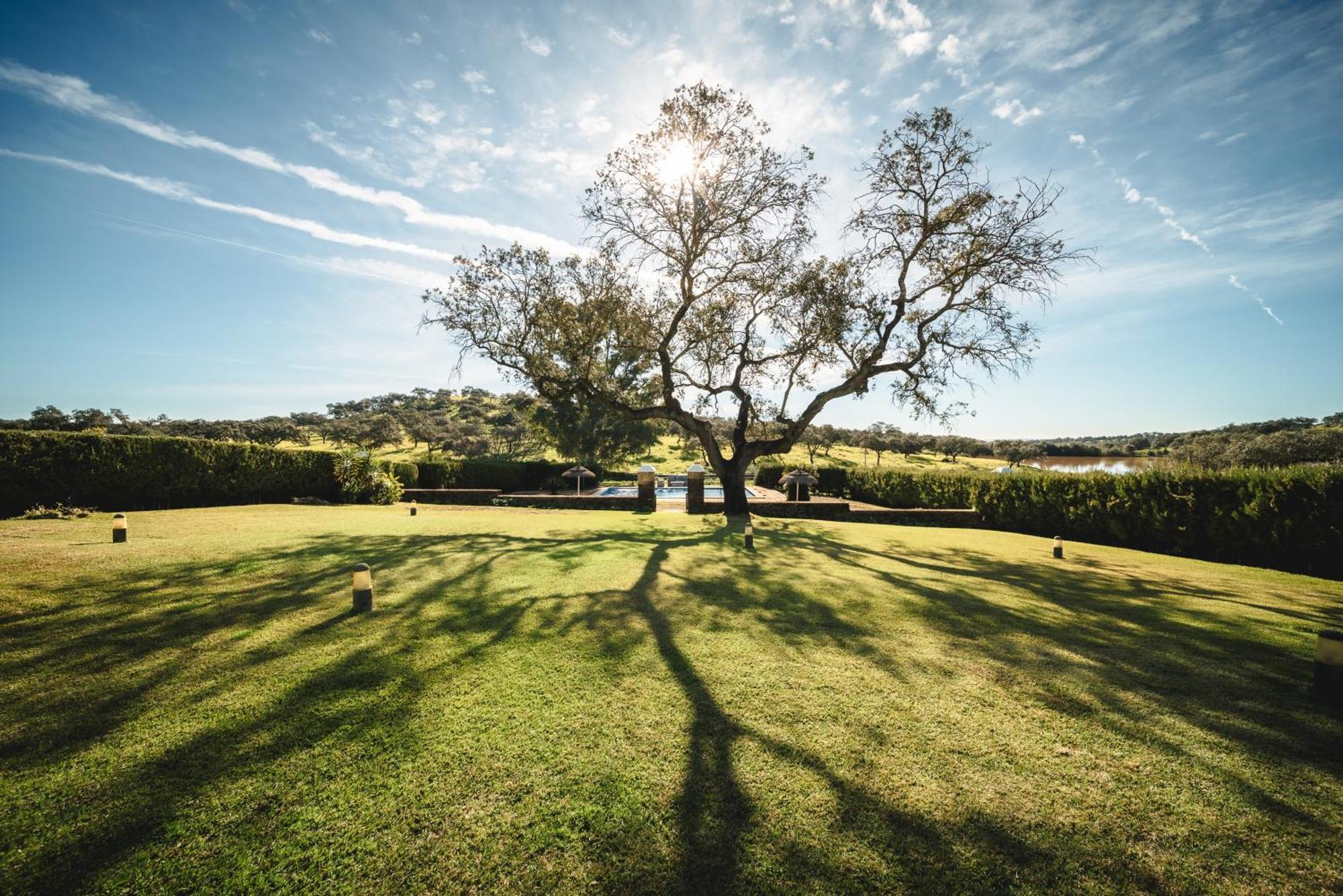 Alojamiento Rural Finca Barral El Garrobo Екстериор снимка