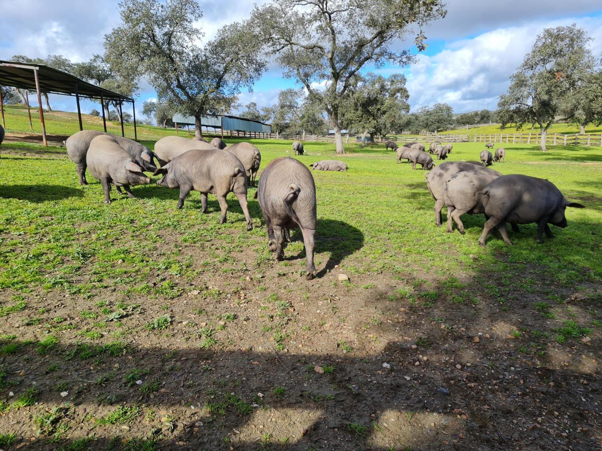 Alojamiento Rural Finca Barral El Garrobo Екстериор снимка