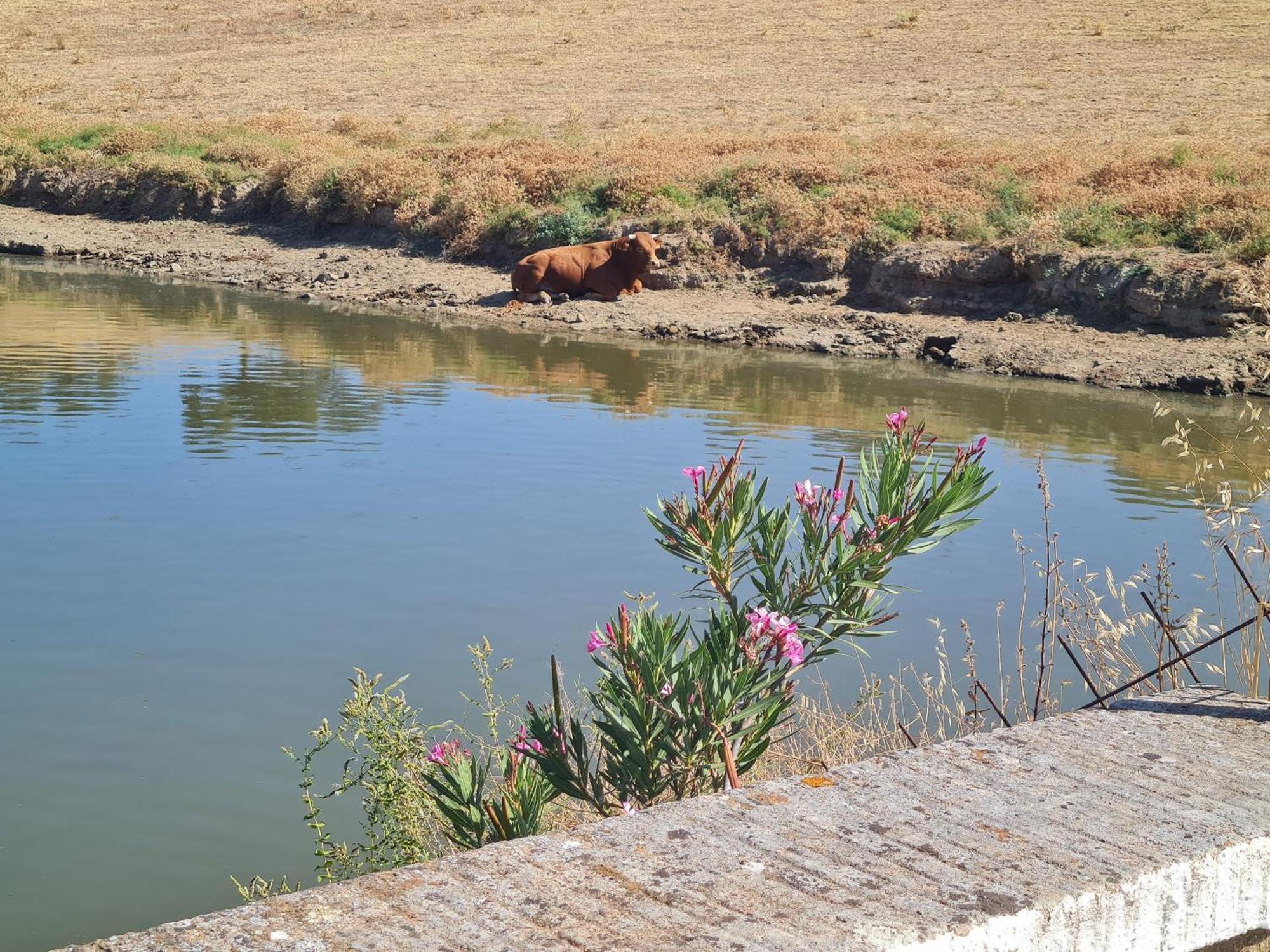 Alojamiento Rural Finca Barral El Garrobo Екстериор снимка